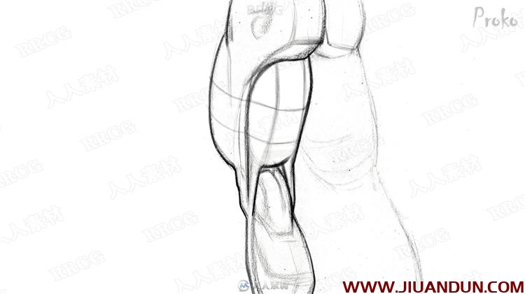 人体腿部肌肉解剖结构数字绘画视频教程 CG 第8张