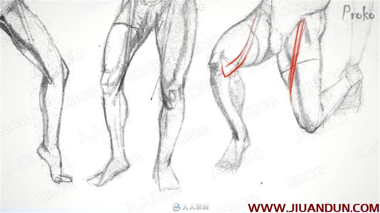 人体腿部肌肉解剖结构数字绘画视频教程 CG 第15张