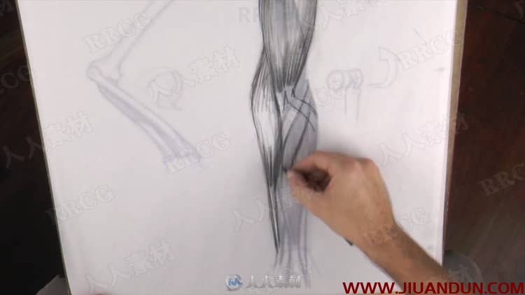 人体四肢解剖素描传统手绘视频教程 CG 第11张