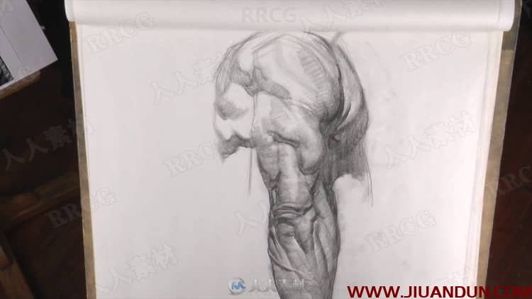 人体四肢解剖素描传统手绘视频教程 CG 第12张