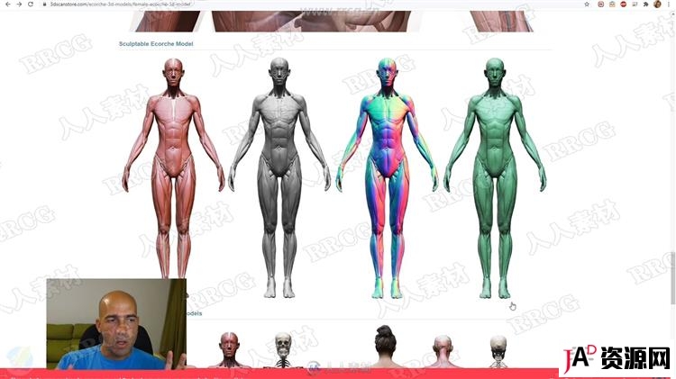 ZBrush完整女性人体解剖数字雕刻大师级视频教程 3D 第8张