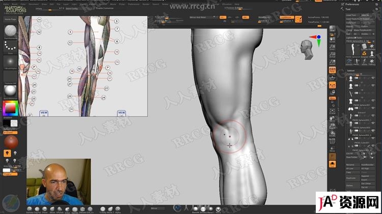 ZBrush完整女性人体解剖数字雕刻大师级视频教程 3D 第15张