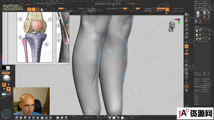 ZBrush完整女性人体解剖数字雕刻大师级视频教程 3D 第13张