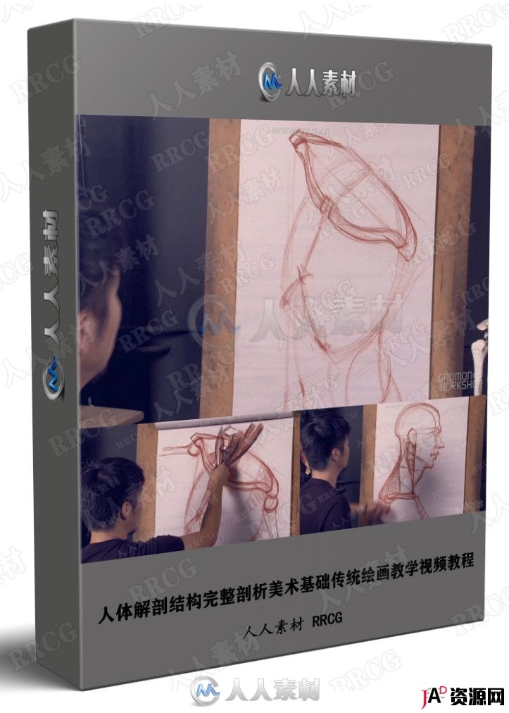 人体解剖结构完整剖析美术基础传统绘画教学视频教程 design others 第1张