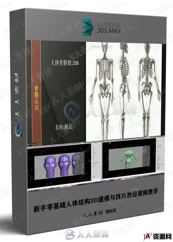 新手零基础人体结构3D建模与技巧教程视频教学 3D 第1张