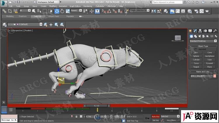 3dsMax四足动物动画高效技术制作视频教程 3D 第2张