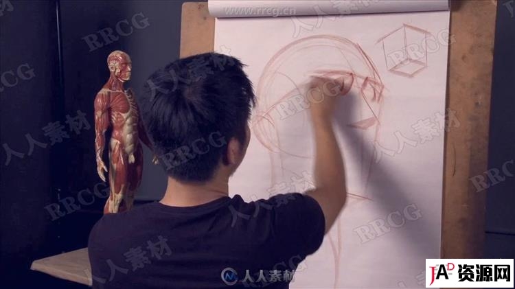 人体解剖结构完整剖析美术基础传统绘画教学视频教程 design others 第2张