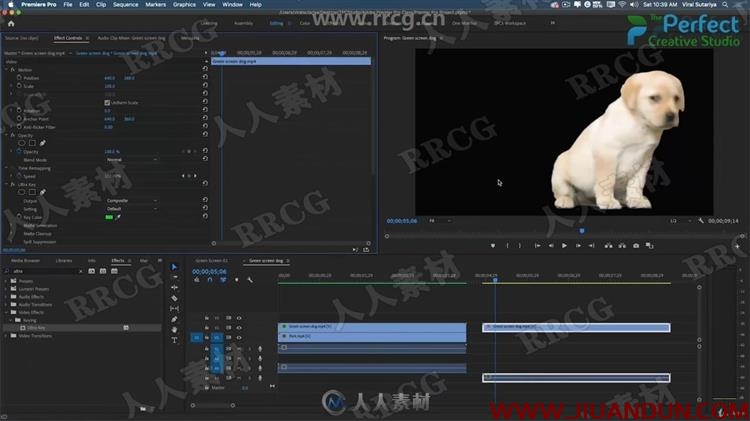 Premier Pro CC 2020视频编辑入门训练视频教程 CG 第6张