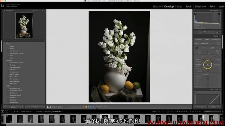 静物油画摄影创建灵感花卉油画风格摄影布光教程中文字幕 摄影 第5张