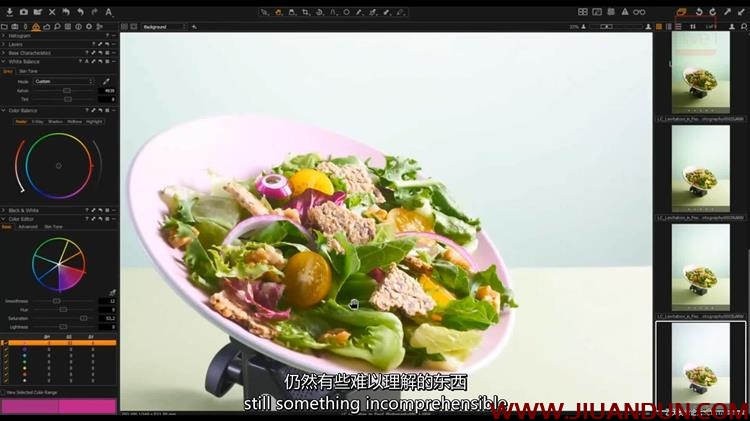 Liveclasses Yan Bazhenov沙拉美食摄影中的悬浮摄影教程中文字幕 摄影 第6张