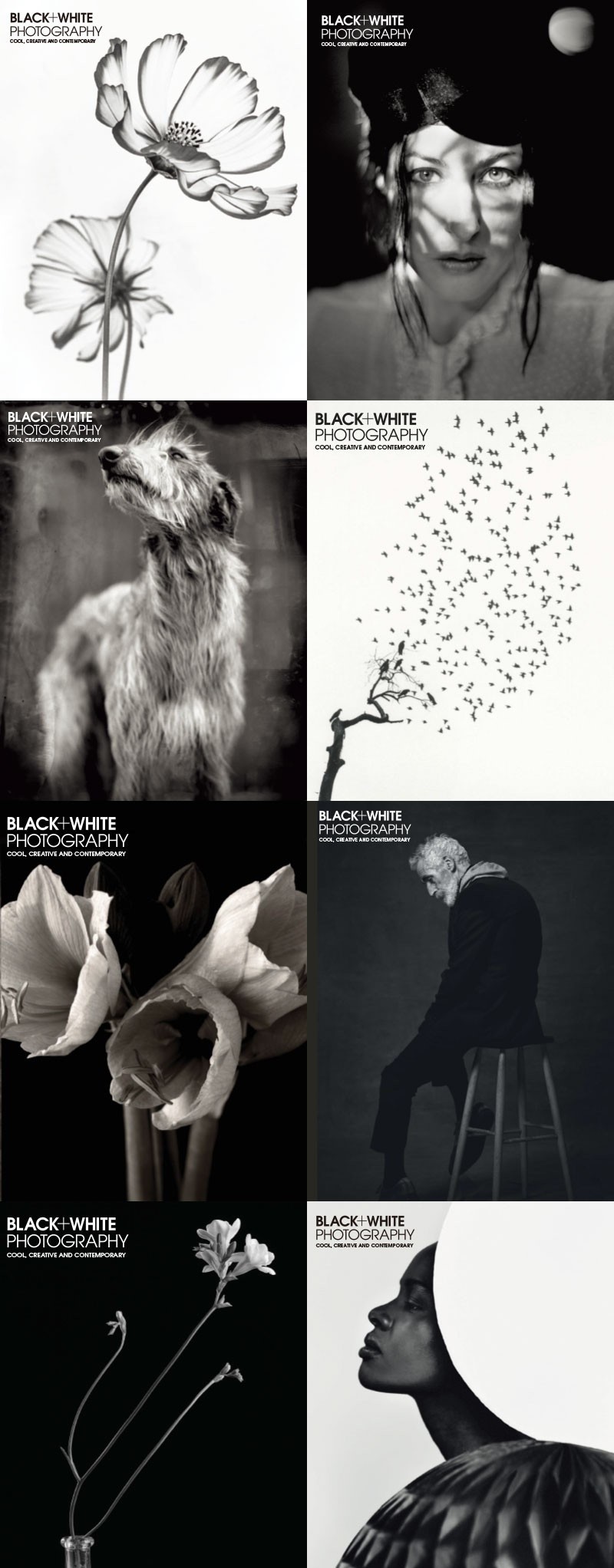 黑白摄影BLACK+WHITE PHOTOGRAPHY 2020 [1月-8月+秋季特刊] 摄影 第1张