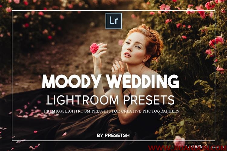 户外人像情绪电影婚礼LR预设Moody Wedding Lightroom Presets LR预设 第1张
