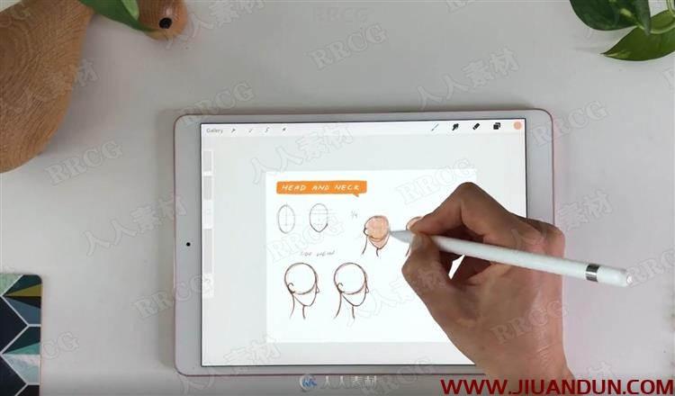 iPad中Procreate风格化角色设计插图视频教程 CG 第2张