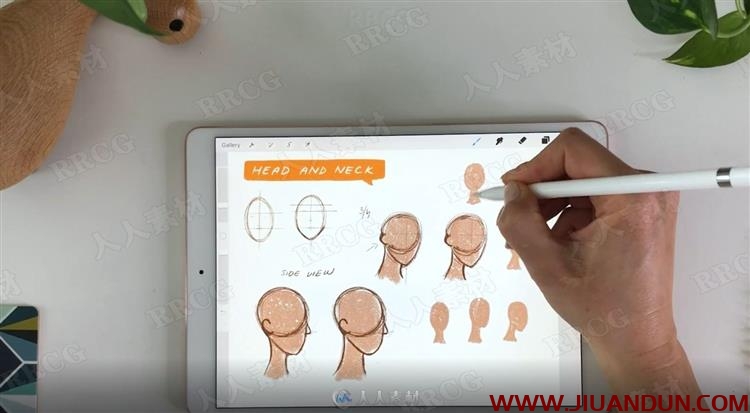 iPad中Procreate风格化角色设计插图视频教程 CG 第8张