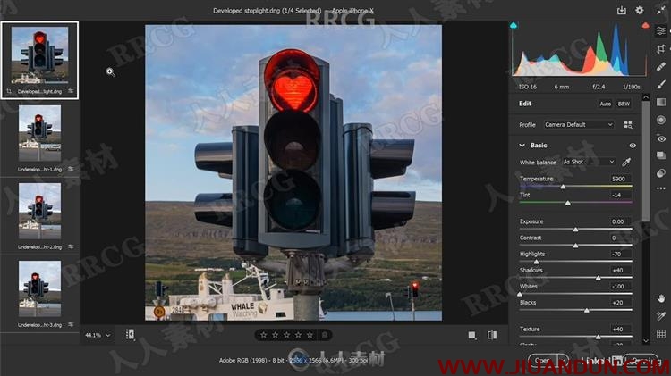Photoshop 2021一对一基础技能训练视频教程 PS教程 第5张