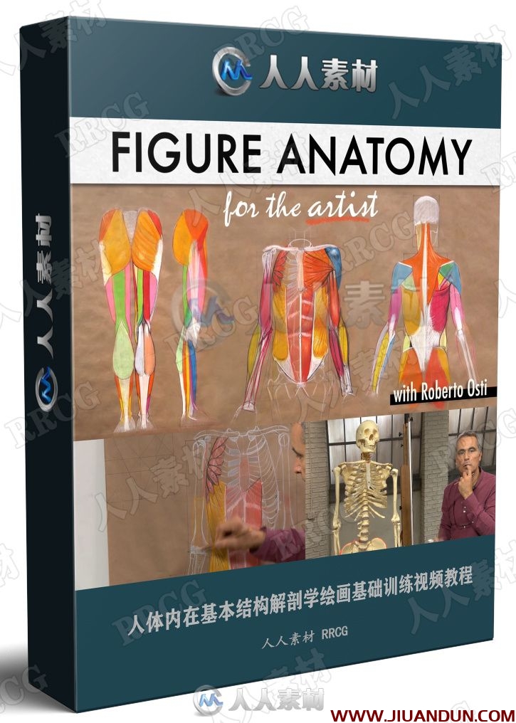 人体内在基本结构解剖学绘画基础训练视频教程 CG 第1张