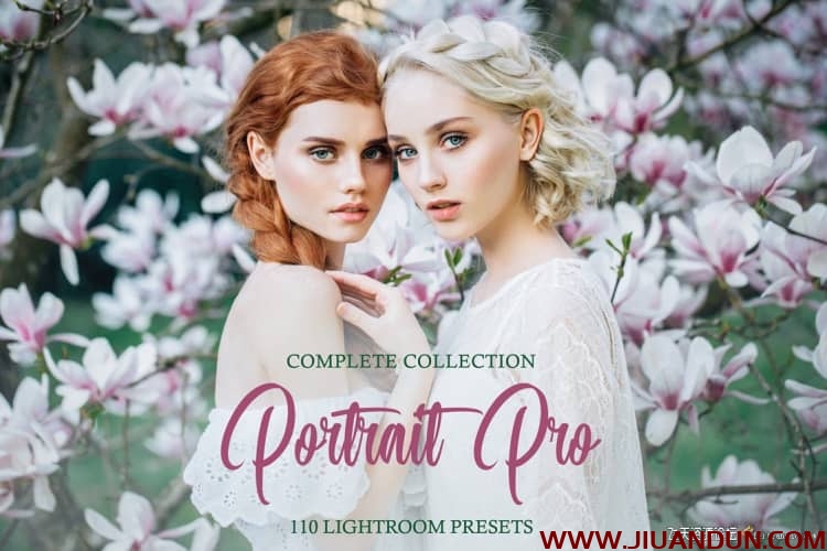 明亮通透时尚人像后期Lightroom预设/APP预设Portrait Pro Complete Collection LR预设 第1张