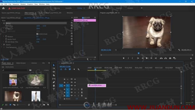 Premiere Pro视频编辑完整技能训练视频教程 PR 第2张