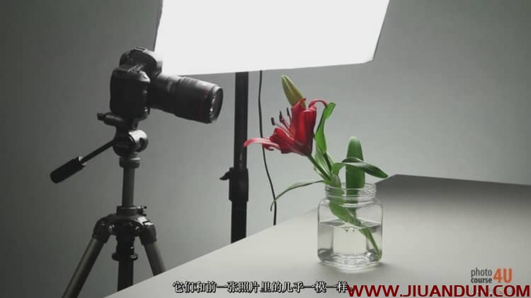 摄影专业学院:人像风光产品微距摄影从入门到精通中文字幕 摄影 第26张