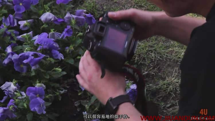 摄影专业学院:人像风光产品微距摄影从入门到精通中文字幕 摄影 第28张
