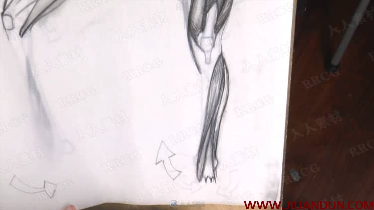 人体四肢解结构写实绘画传统素描手绘教学视频 CG 第6张
