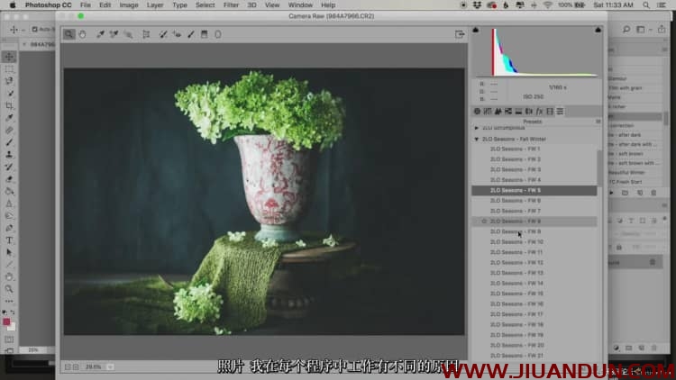 Lenslab静物花卉产品摄影掌握色彩突破艺术界限研讨会中文字幕 摄影 第11张