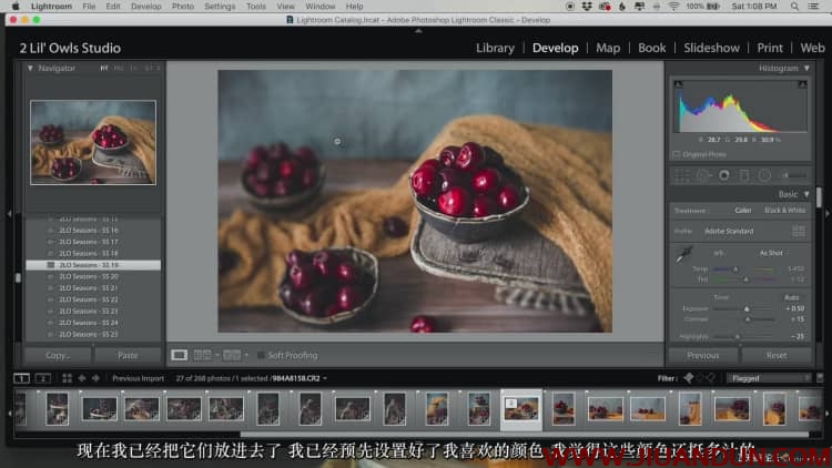 Lenslab静物花卉产品摄影掌握色彩突破艺术界限研讨会中文字幕 摄影 第23张