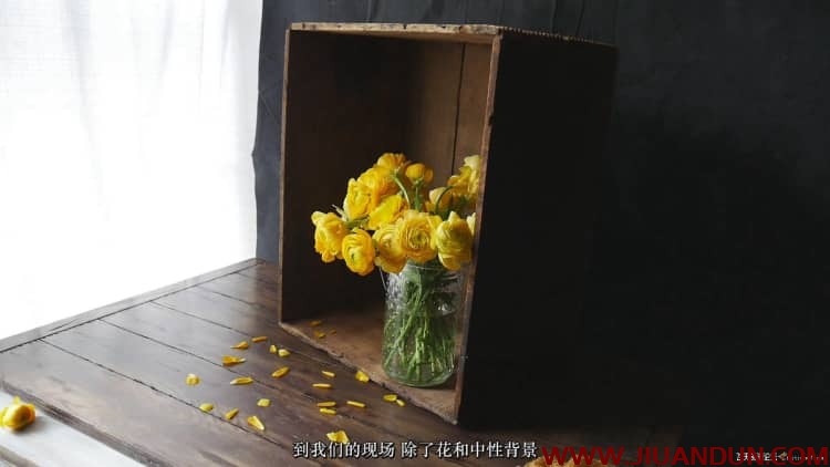 Lenslab静物花卉产品摄影掌握色彩突破艺术界限研讨会中文字幕 摄影 第28张