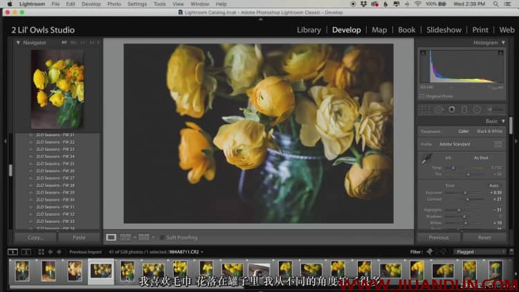 Lenslab静物花卉产品摄影掌握色彩突破艺术界限研讨会中文字幕 摄影 第30张
