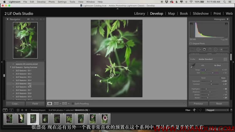 Lenslab静物花卉产品摄影掌握色彩突破艺术界限研讨会中文字幕 摄影 第32张