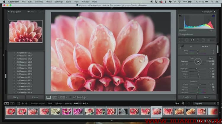 Lenslab静物花卉产品摄影掌握色彩突破艺术界限研讨会中文字幕 摄影 第37张