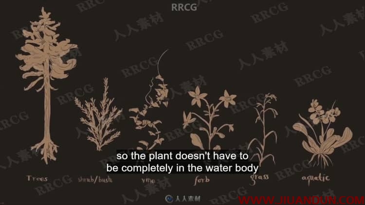 Angi Pauly花卉植物设计数字绘画视频教程 PS教程 第2张
