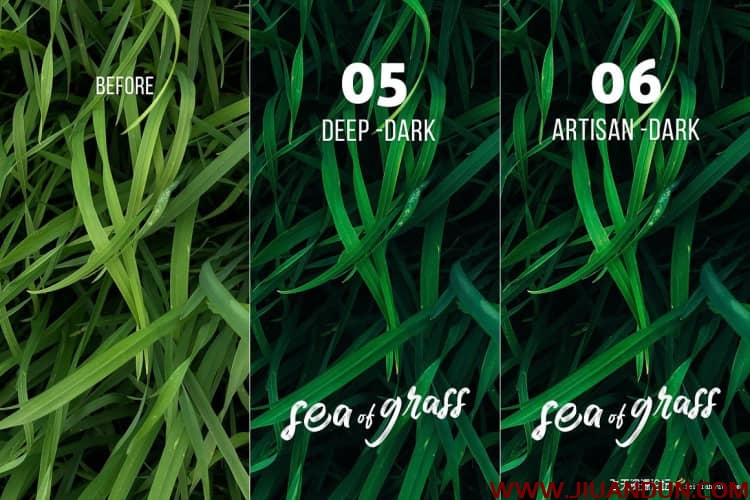 清新森系人像LR预设/手机APP调色滤镜Sea of Grass Portrait Presets LR预设 第7张