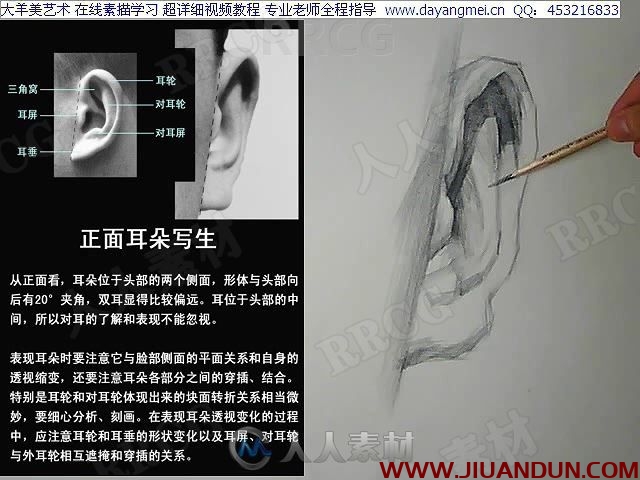大师级人物石膏写实肖像结构传统素描手绘教学视频 CG 第3张