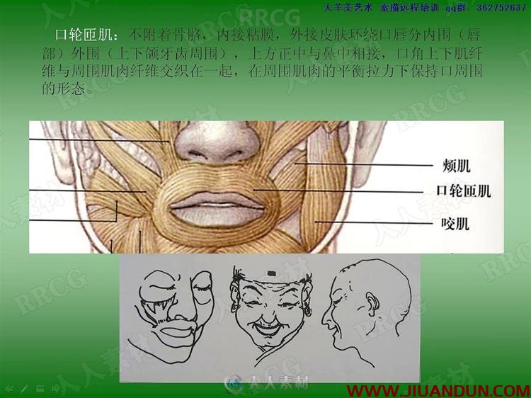 大师级人物石膏写实肖像结构传统素描手绘教学视频 CG 第16张