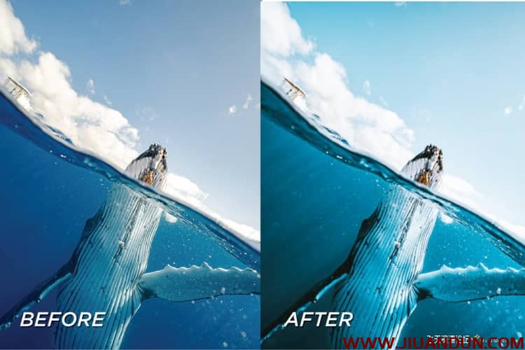 水下摄影后期调色Lightroom预设/手机APP滤镜Underwater Lightroom Presets LR预设 第3张