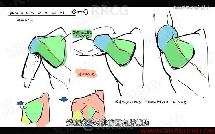人体结构草图到油画过程写实传统绘画视频教程 CG 第18张
