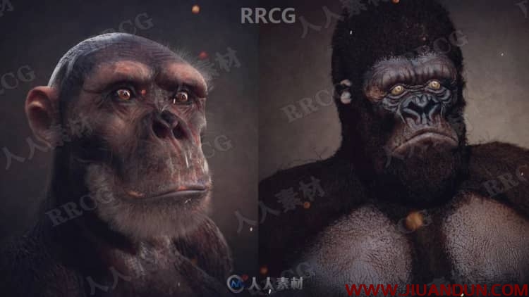 ZBrush黑猩猩雕刻制作完整流程视频教程 PS教程 第2张