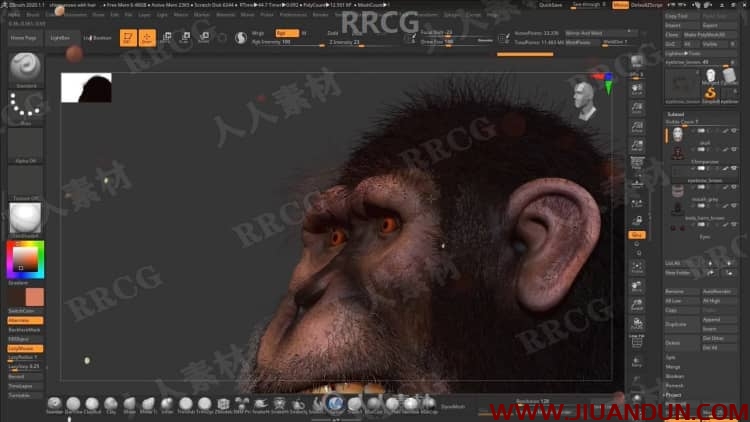 ZBrush黑猩猩雕刻制作完整流程视频教程 PS教程 第12张