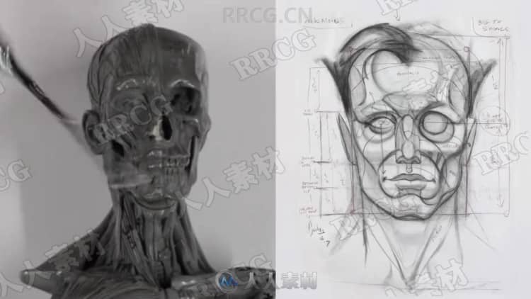 Patrick Jones人物造型解剖概念艺术绘画视频教程 CG 第7张