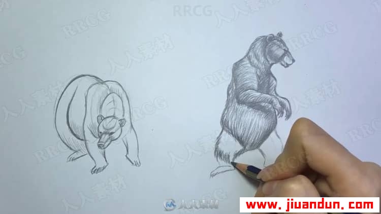 动物角色铅笔传统素描绘画过程视频教程 CG 第3张
