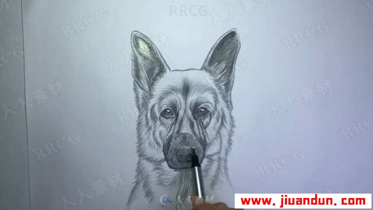 动物角色铅笔传统素描绘画过程视频教程 CG 第4张