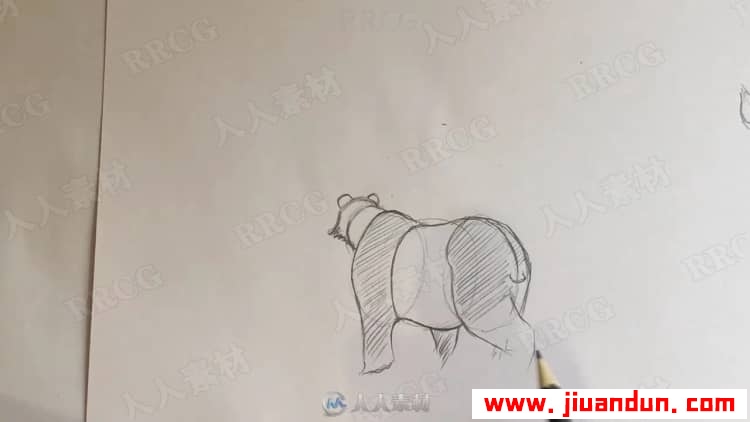 动物角色铅笔传统素描绘画过程视频教程 CG 第8张