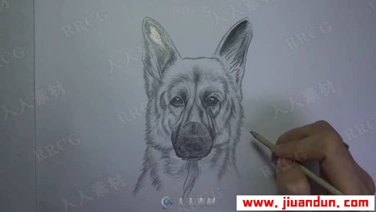 动物角色铅笔传统素描绘画过程视频教程 CG 第10张