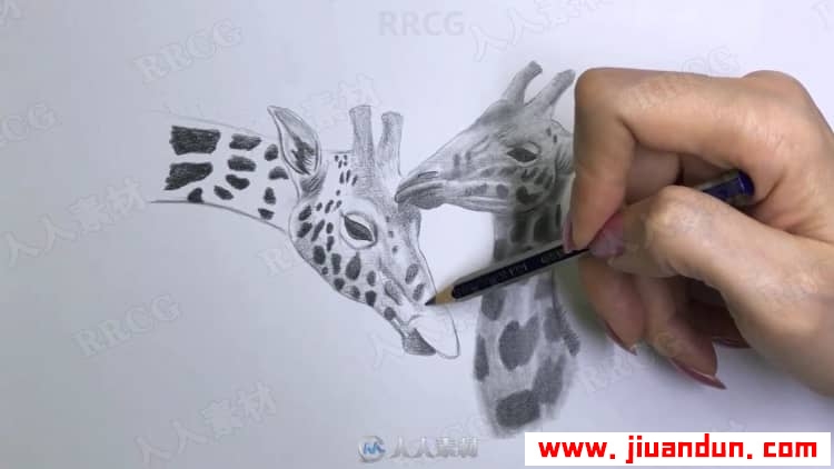 动物角色铅笔传统素描绘画过程视频教程 CG 第11张