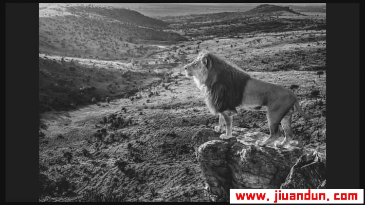 摄影大师大卫·雅罗(David Yarrow)野生动物纪实黑白摄影教程中英字幕 摄影 第39张