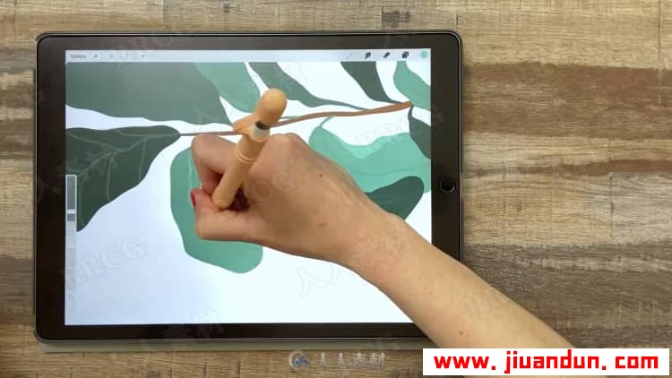 Procreate再iPad中创建平面自然植物插图视频教程 design others 第5张