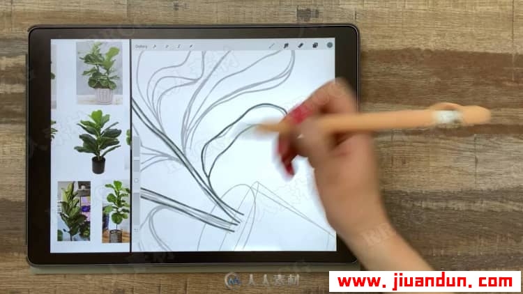 Procreate再iPad中创建平面自然植物插图视频教程 design others 第8张