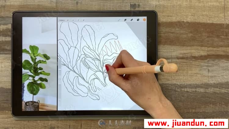 Procreate再iPad中创建平面自然植物插图视频教程 design others 第9张