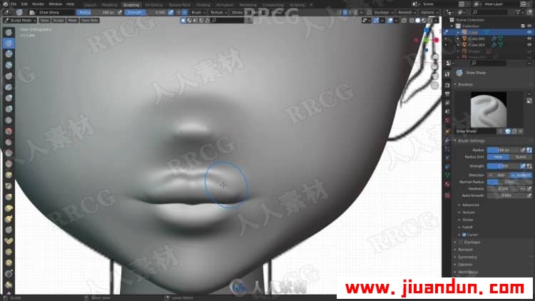 Blender数字雕刻技术实例训练频教程 3D 第5张